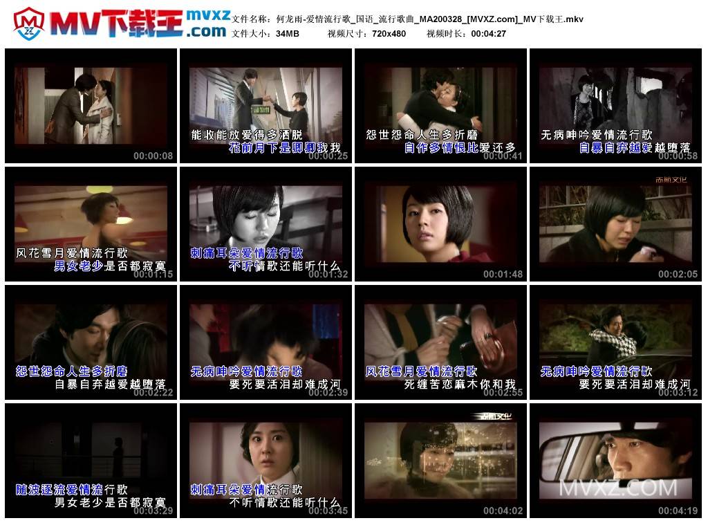 何龙雨-爱情流行歌_国语_流行歌曲_MA200328